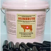 Copper Oxide Capsules for Cattle (10g)